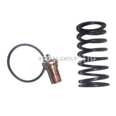 Ремкомплект клапана термостата VTFT45/71 VMC 2701490 фото